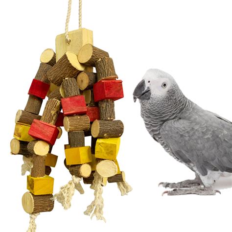 Best Toys For African Grey Parrots | Wow Blog