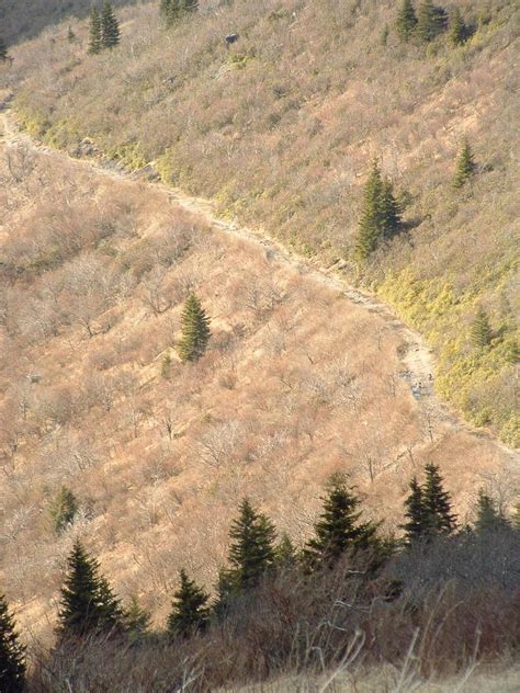 Photo Gallery: Black Balsam Knob Hiking