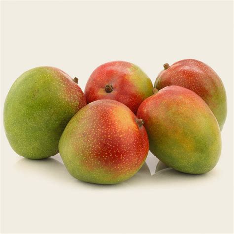 Mango Kent – Mr Fresh Produce