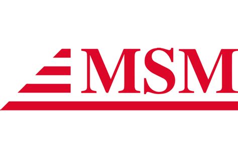 MSM Group Logo Vector (.SVG + .PNG)