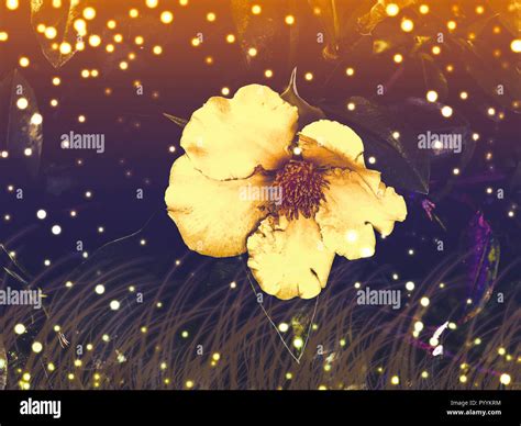 Nature Sparkle Background. Bokeh effect Stock Photo - Alamy