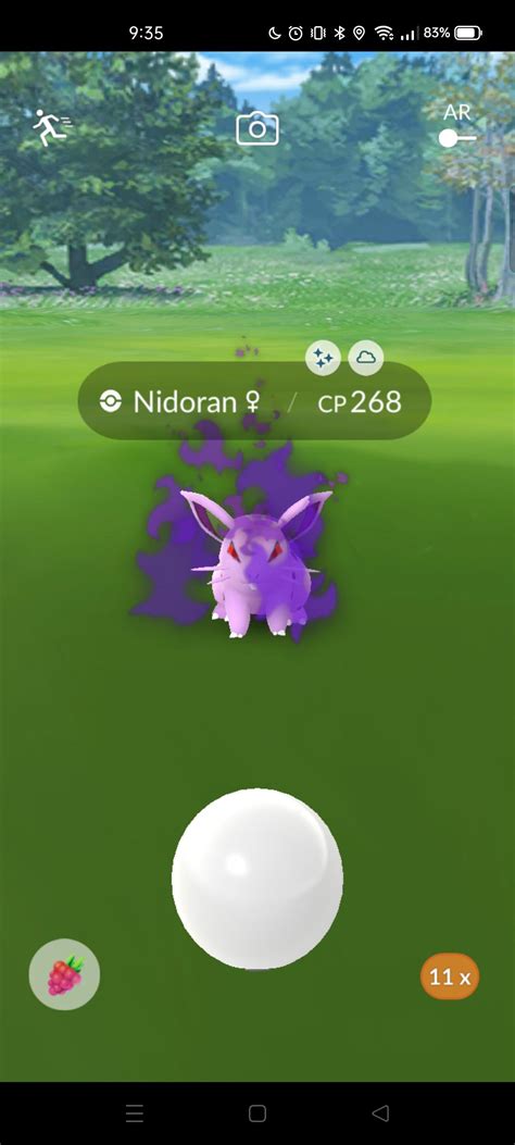 My first shadow pokemon from Sierra 😍 : r/pokemongo