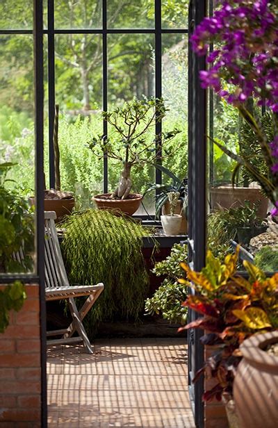 Sunrooms: Picking the Perfect Plants for Your Sunroom | Champion