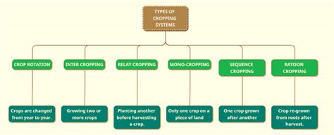 Cropping System And Cropping Pattern - UPSC IAS