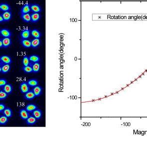 (a) Interference patterns for different magnetic field; the sign and ...