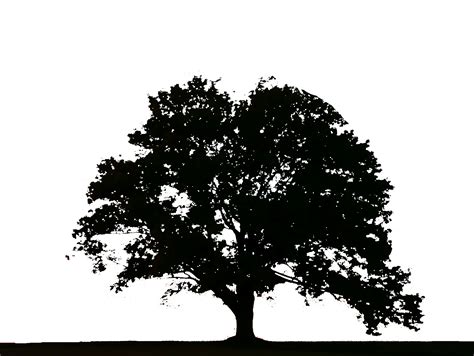 File:Tree logo.png