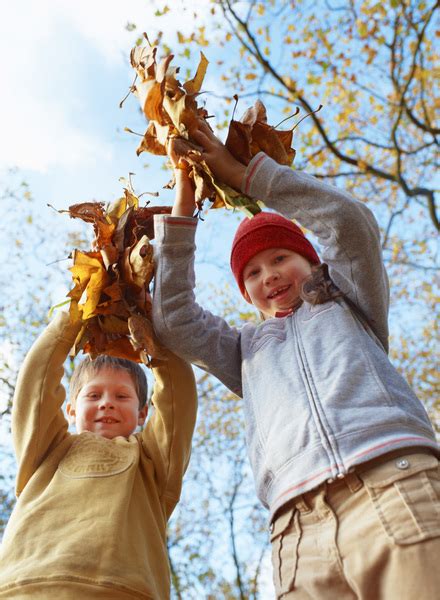 Children playing with leaves Free Photo Download | FreeImages