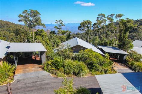 3 Gold Coast Hinterland Accommodation Options In The Rainforest