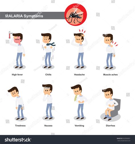 Malaria Symptoms Stock Vector 363506951 - Shutterstock