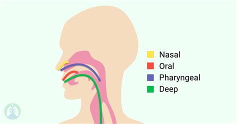 Tracheostomy Tube Suctioning