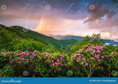 Appalachian Mountains Scenic Spring Flowers Landscape Blue Ridge Stock ...