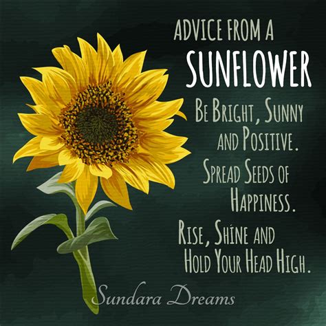 Sunflower Family Quotes