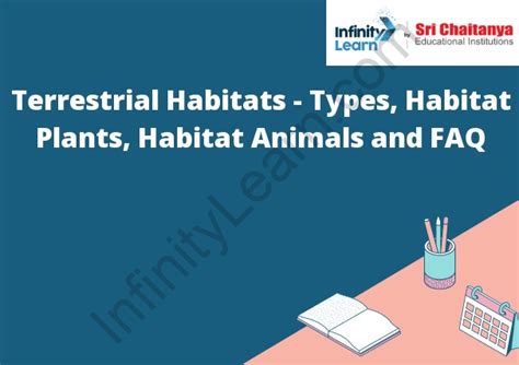 Terrestrial Habitats - Types, Habitat Plants, Habitat Animals and FAQ