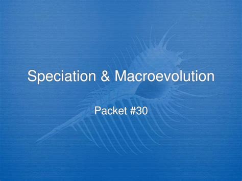 Speciation & Macroevolution - ppt download