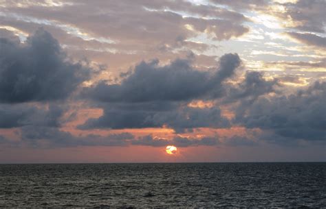 Volunteer in Australia - Marine Conservation at the Great Barrier Reef ...