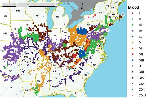 periodical cicada brood map - Entomology Today