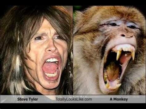 Funny Celebrity Look-Alikes