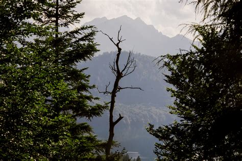 Bavarian Alps | Free Stock Image - Barnimages