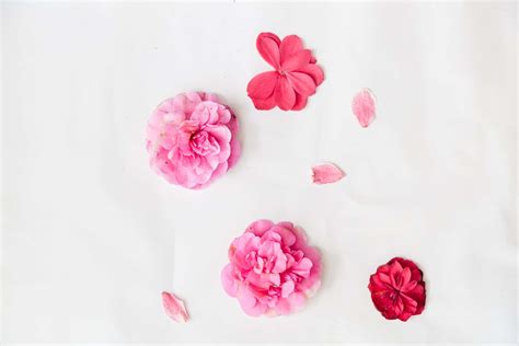 How To Make Petal Art For Absolute Beginners - GinGin & Roo