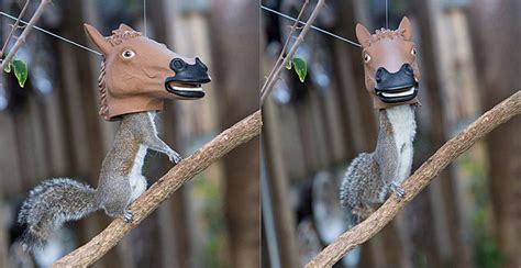 Horse Head Squirrel Feeder