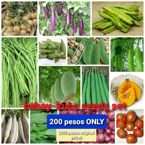 bahay-kubo seeds set (14 varieties) | Shopee Philippines