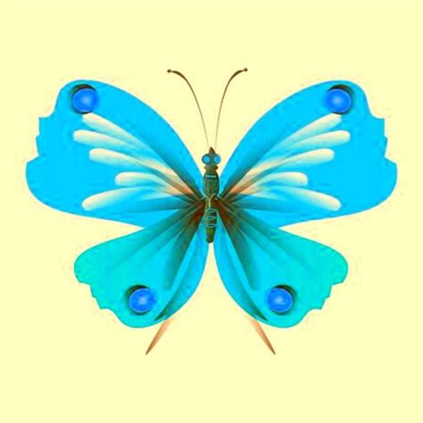 most beautiful butterfly - online puzzle