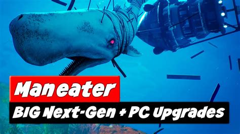 Maneater DLC | MAJOR Xbox Series X - PS5 Upgrade + Switch Info - YouTube