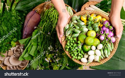 Fresh Organic Asian Vegetables Local Farmer Stock Photo 1881375628 ...