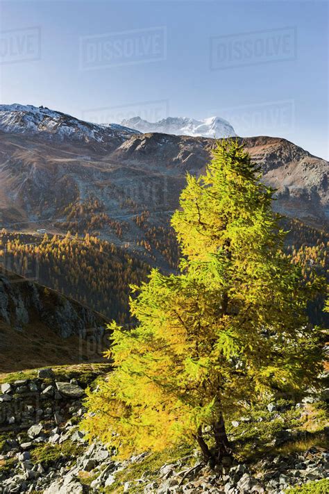 View of the mountain breithorn in the pennine alps;Valais switzerland ...