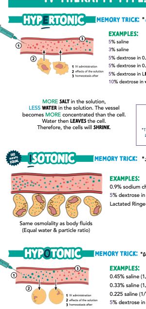 Iv therapy types of iv solutions – Artofit