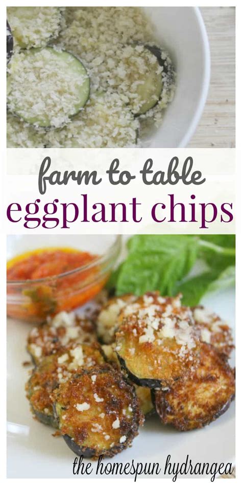 Farm to Table Fried Eggplant Chips Recipe - The Homespun Hydrangea