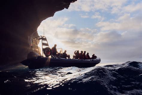 Terra do Pico Whale Watching - Visit Azores