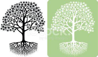 Japanese Maple Tree Silhouette Stock Clipart | Royalty-Free | FreeImages