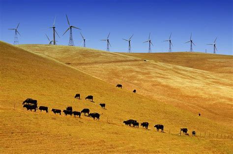 Altamont Pass, California | Altamont, Natural landmarks, Favorite places