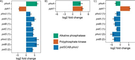 The potential for polyphosphate metabolism in Archaea and anaerobic ...