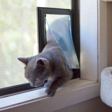 Diy Cat Door In Wall / Hale Flexible Cat Flap Pet Doors for Screens | Pet screen ... / This ...