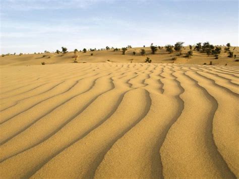 Thar Desert | Map, Climate, Vegetation, & Facts | Britannica