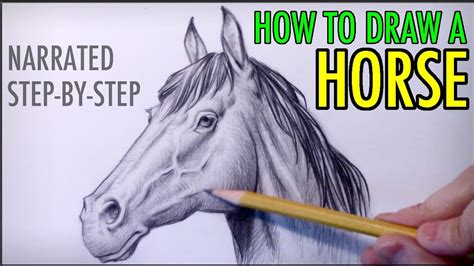 How To Draw A Horse Step By Step Realistic