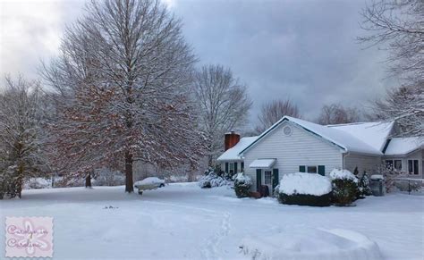 Carolyn in Carolina: Snowfall in Sylva Part 2