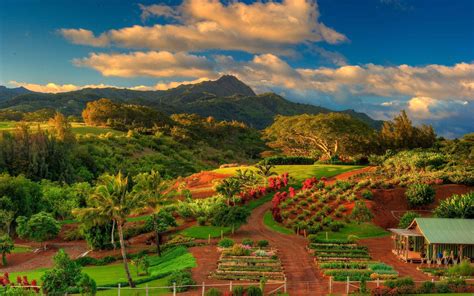 Hawaii Landscape Wallpapers - Top Free Hawaii Landscape Backgrounds ...