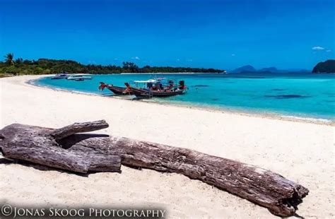 Pig Island Koh Samui Day Trip: Everything You Need To Know