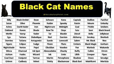 entitate mental înapoi cool black cat names declara Înconjurător Plantă