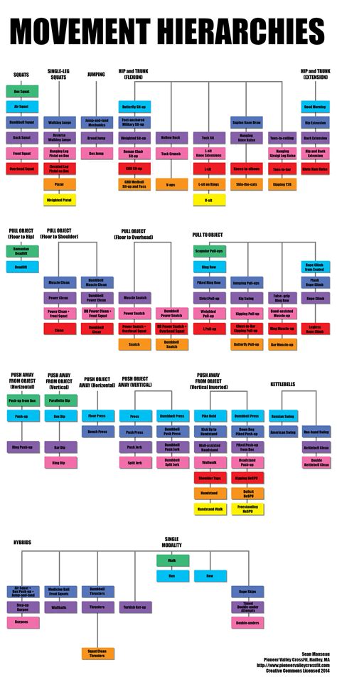 Mastering Movement Progression Chart — Steel Fox Fitness | Functional Fitness & Personal ...