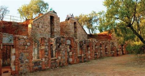 Nature & History At Wonderboom Nature Reserve – Joburg.co.za