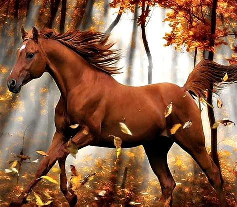 Chestnut Horses