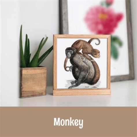 Set collection of different monkey face emoji expressions - MasterBundles