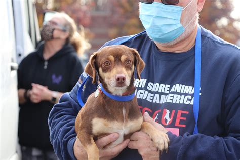 Kentucky Tornado Rescue Relief | Emergency Rescue | Animal League