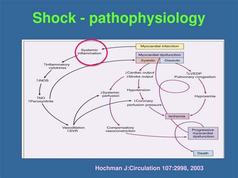 PPT - Cardiogenic shock PowerPoint Presentation, free download - ID:1921230