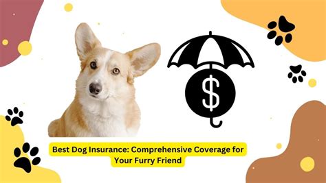 Best Dog Insurance Comprehensive Coverage For Your Furry Friend