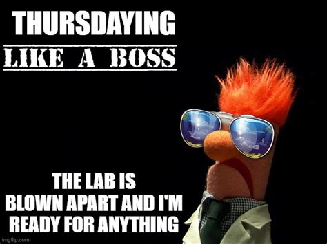 Beaker Muppet Meme